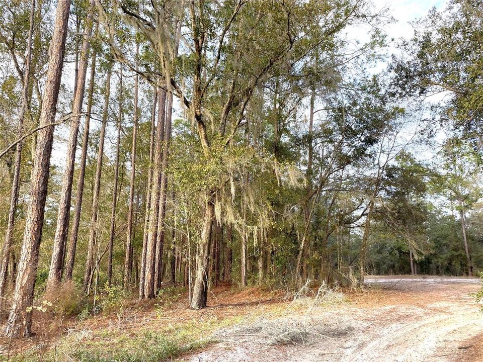 Recently Sold: $43,000 (5.00 acres)