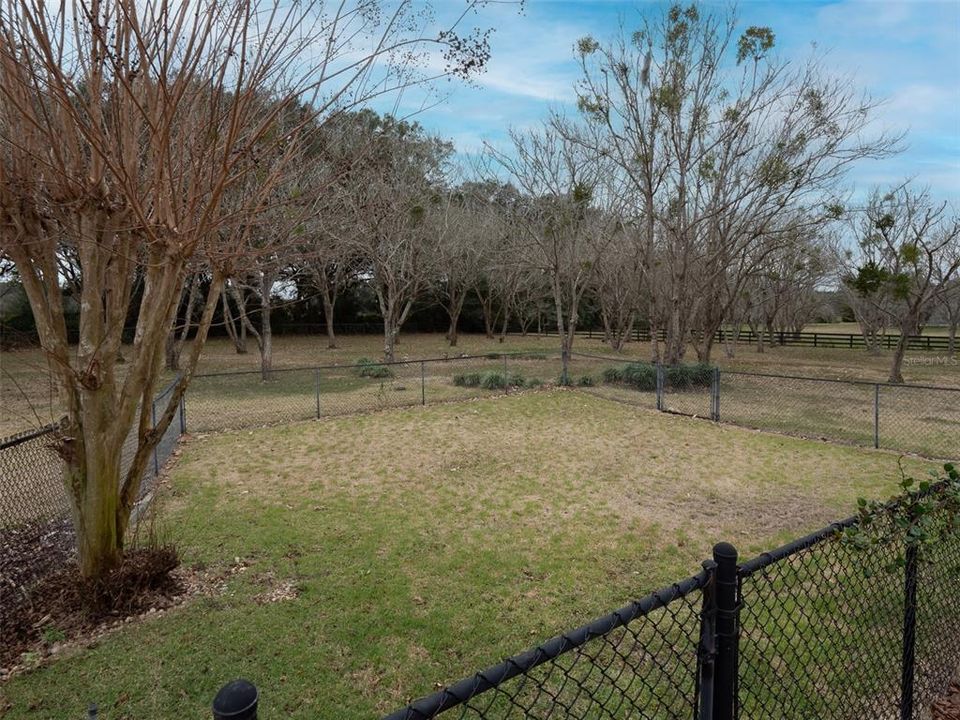 SEPARATE FENCED IN DOG RUN BEHIND FAMILY ROOM
