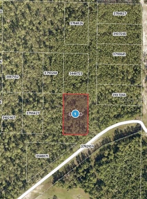 For Sale: $13,000 (1.23 acres)