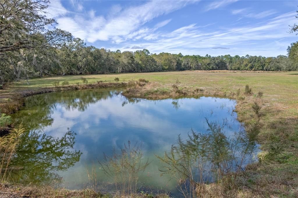 Recently Sold: $430,000 (19.51 acres)