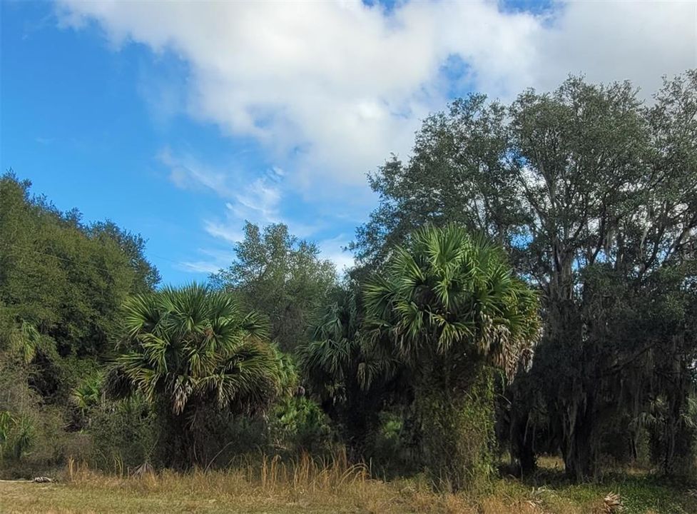 Recently Sold: $250,000 (5.56 acres)