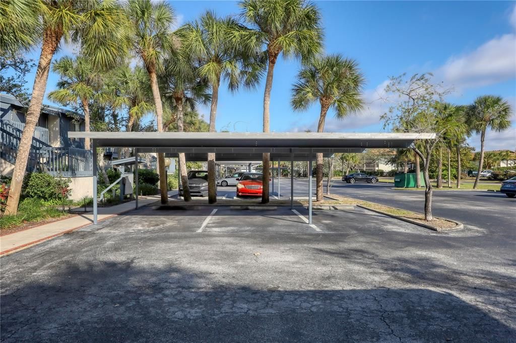 Assigned Carport Parking