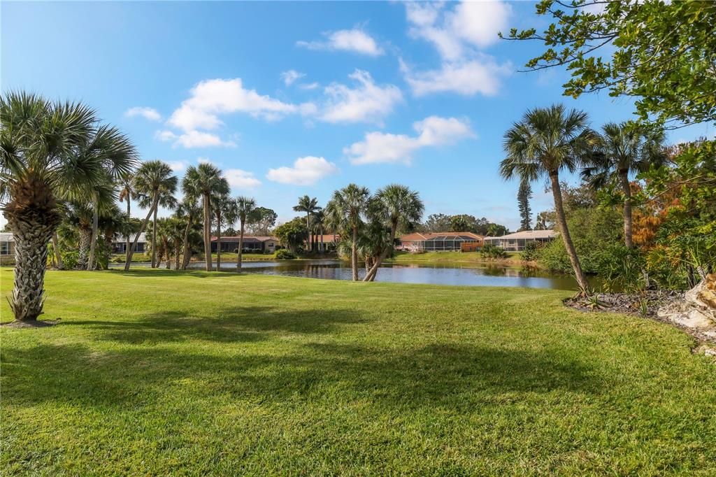 Pond at Pool Area