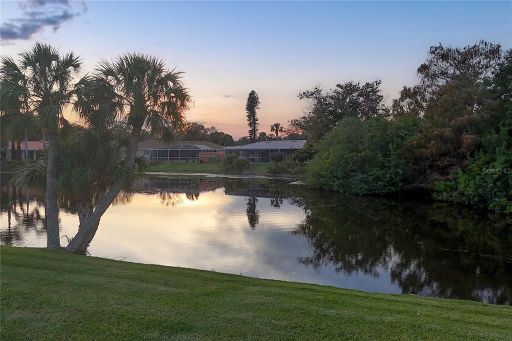 Pond at Pool Area