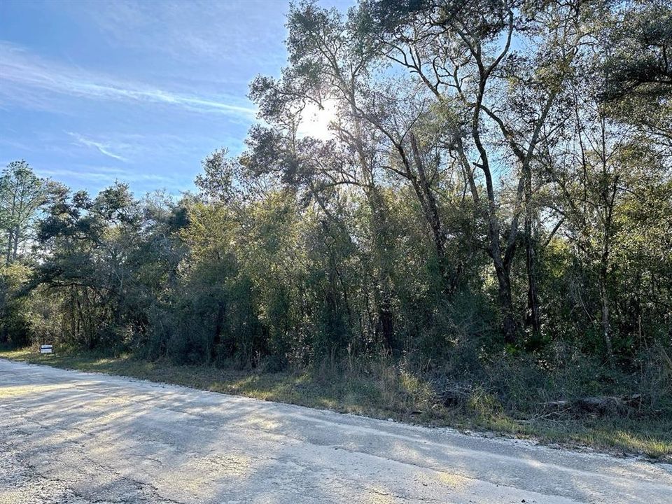 Recently Sold: $19,000 (1.16 acres)