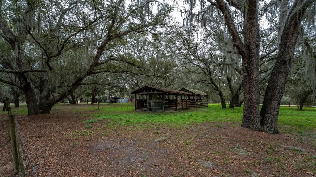 Horse stables