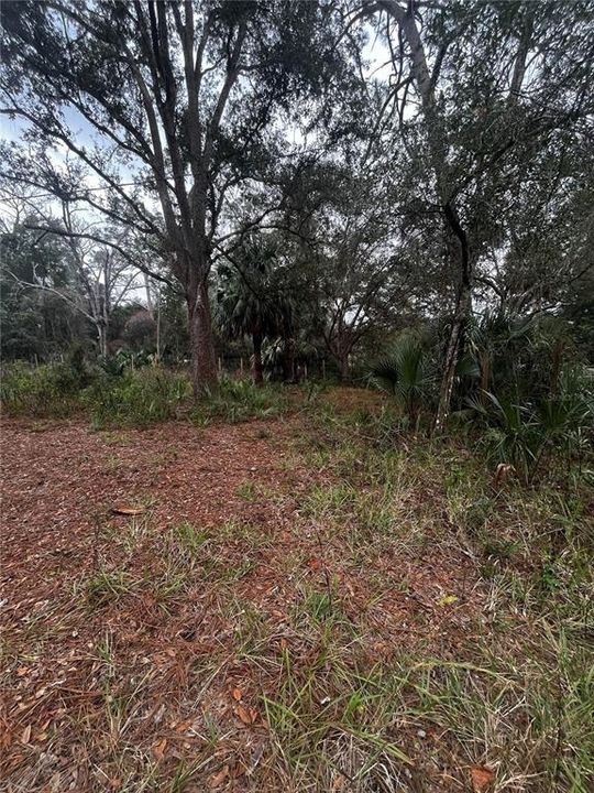 Recently Sold: $25,000 (0.37 acres)