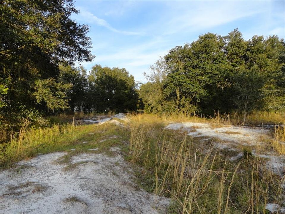 For Sale: $225,000 (5.05 acres)