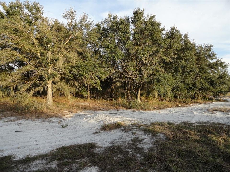 For Sale: $225,000 (5.05 acres)