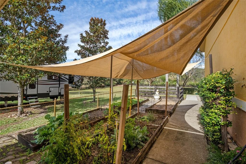 Garden next to Garage