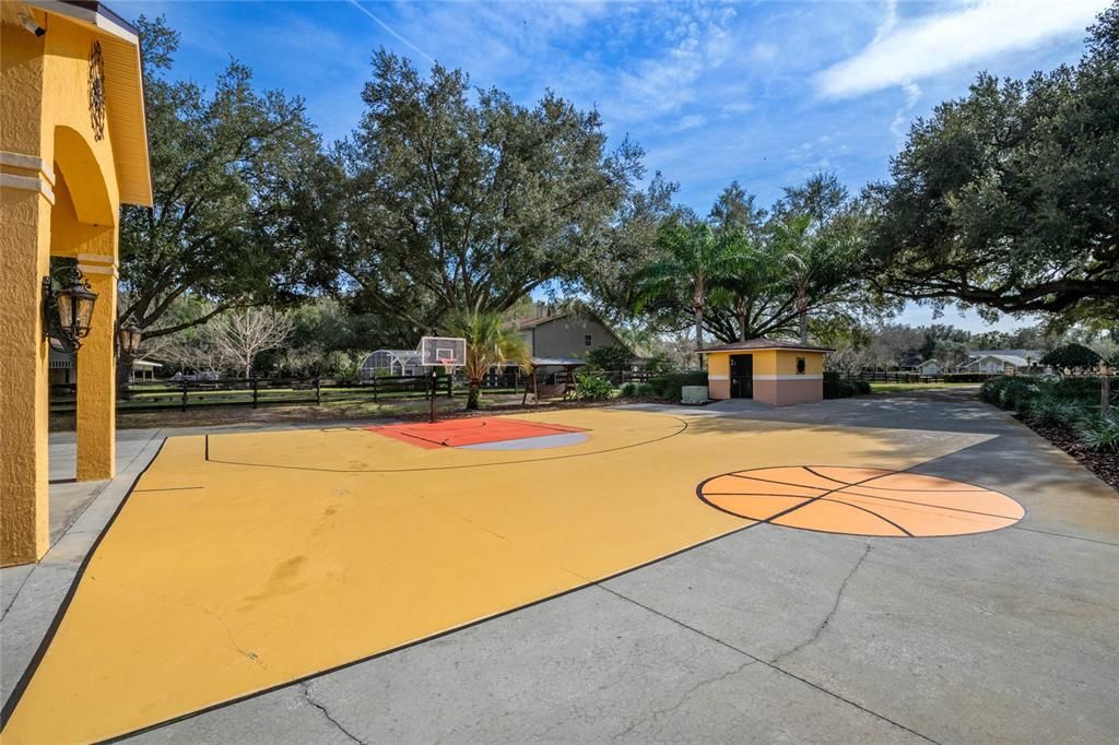 Freshly Painted Basketball Court