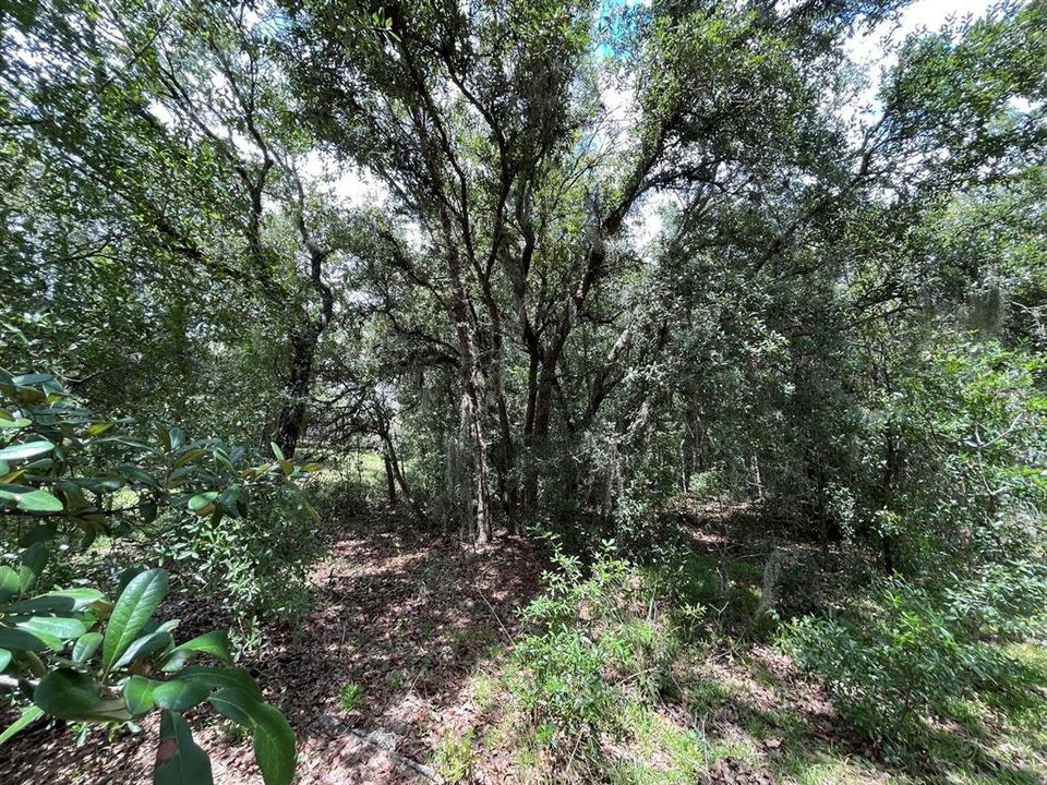 Recently Sold: $21,900 (0.51 acres)