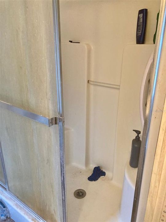 Master standup shower