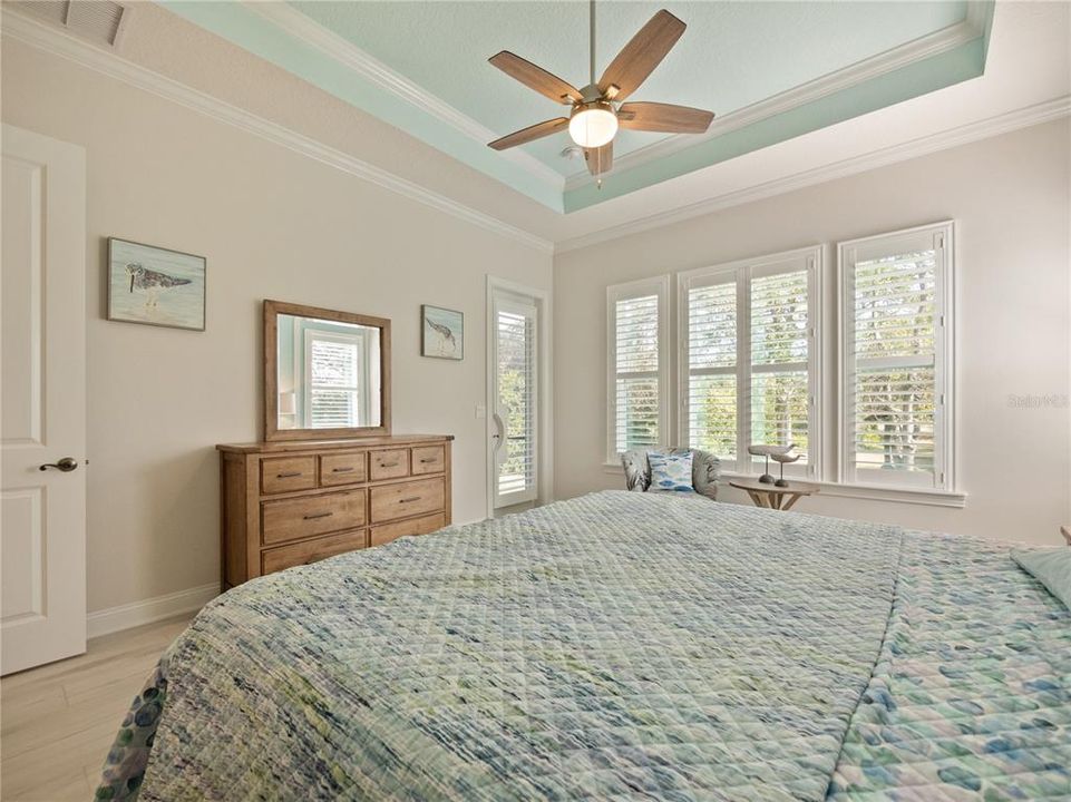 Master bedroom, plantation shutters, Tray ceiling, natural light.