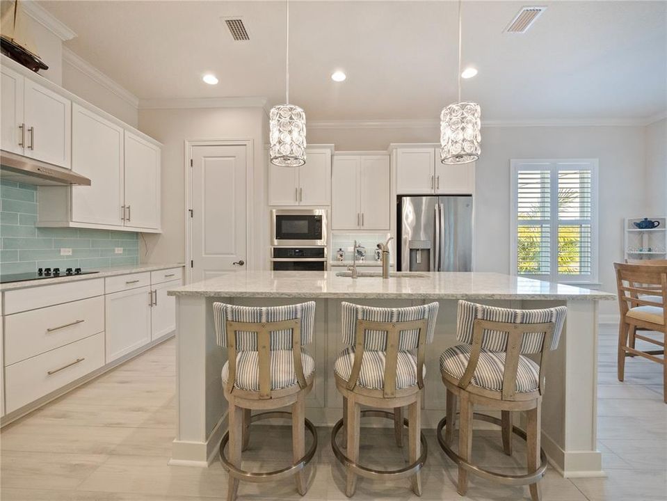Open  kitchen, with breakfast bar, elegant lighting, glass-top stove, plantation shutters, recessed lights.