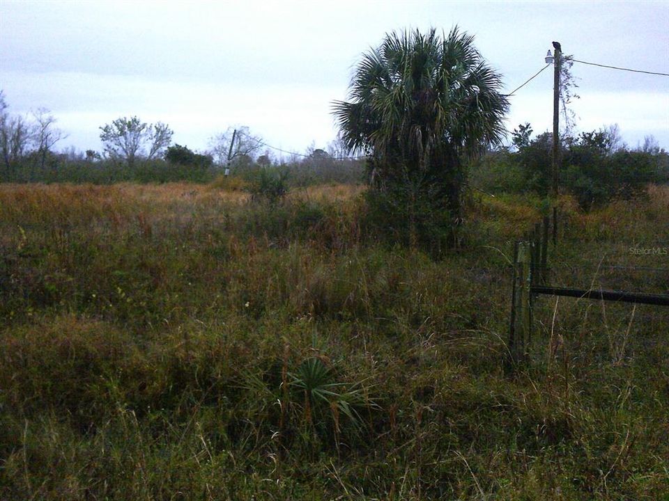 En Venta: $92,500 (3.75 acres)