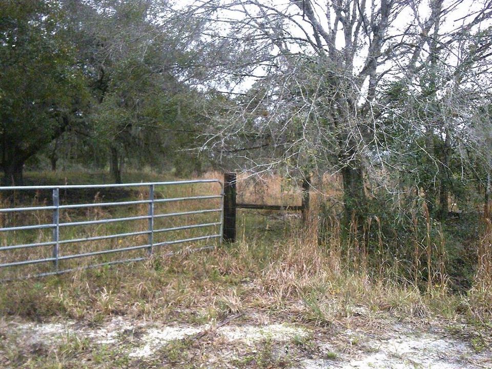 En Venta: $92,500 (3.75 acres)