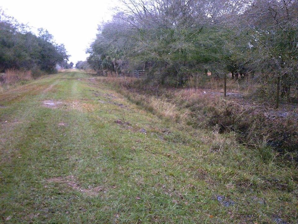 En Venta: $92,500 (3.75 acres)