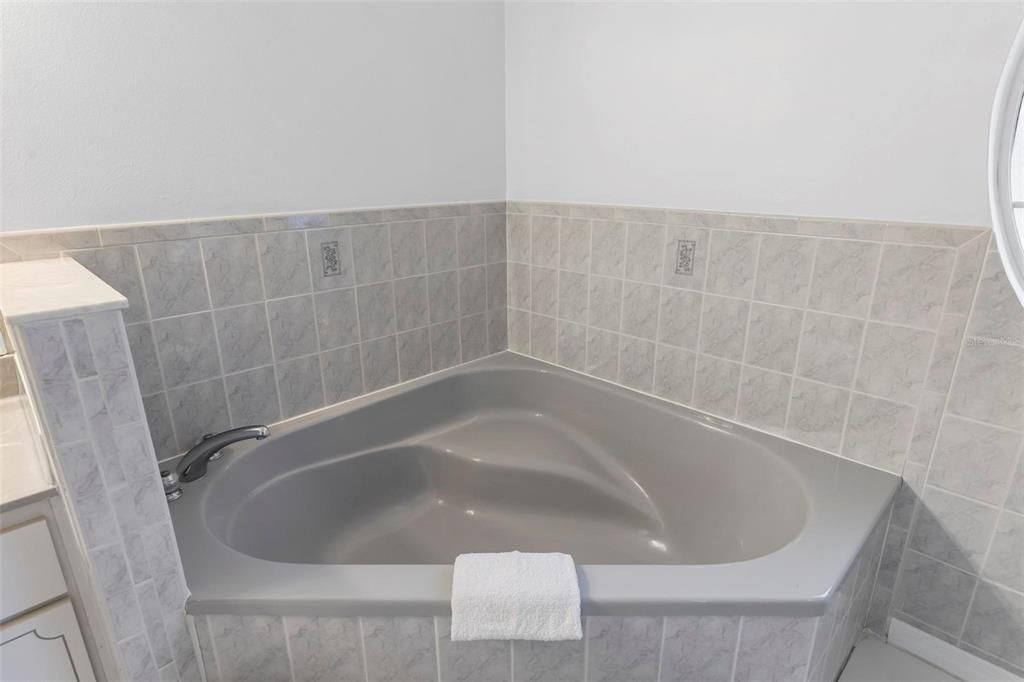 Primary Bathroom - 5 fixture and soaking tub