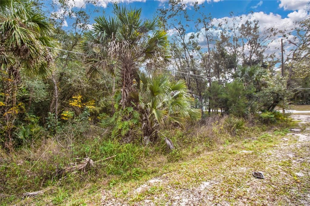 Recently Sold: $70,000 (0.47 acres)