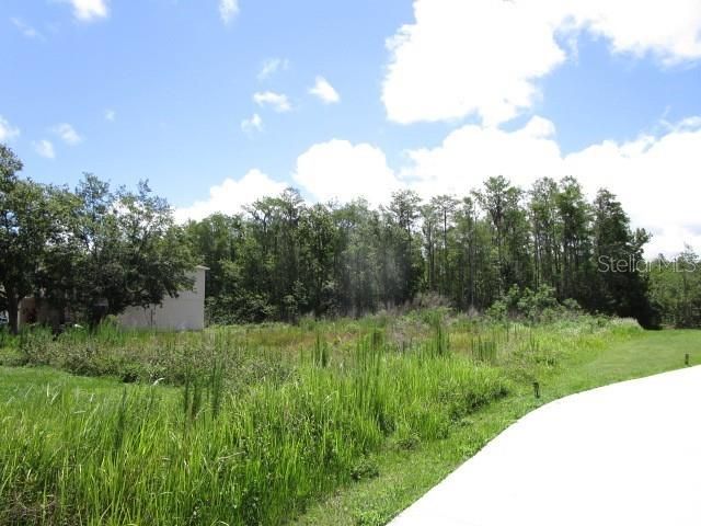 Active With Contract: $42,500 (0.34 acres)