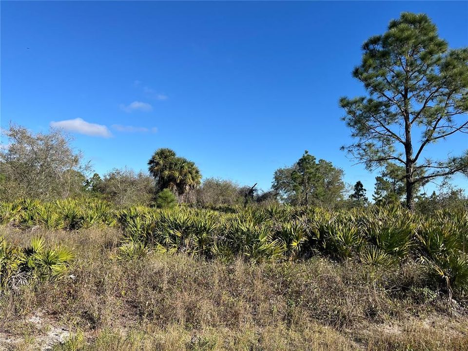 Recently Sold: $57,900 (1.25 acres)