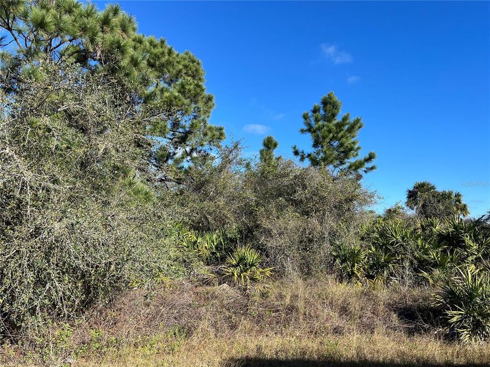 Recently Sold: $57,900 (1.25 acres)