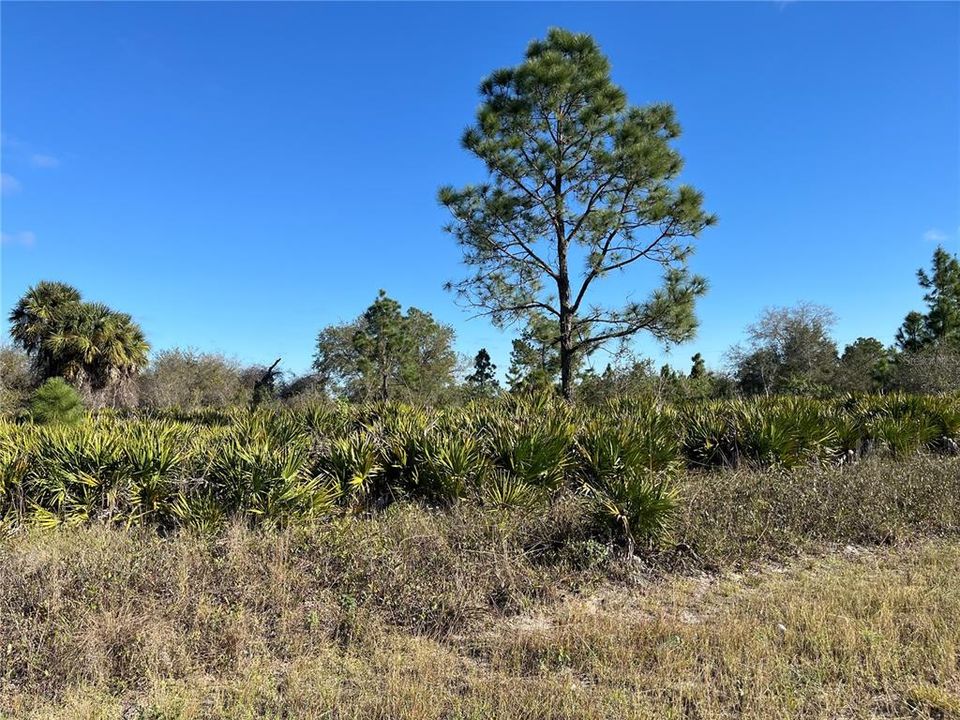 Vendido Recientemente: $57,900 (1.25 acres)