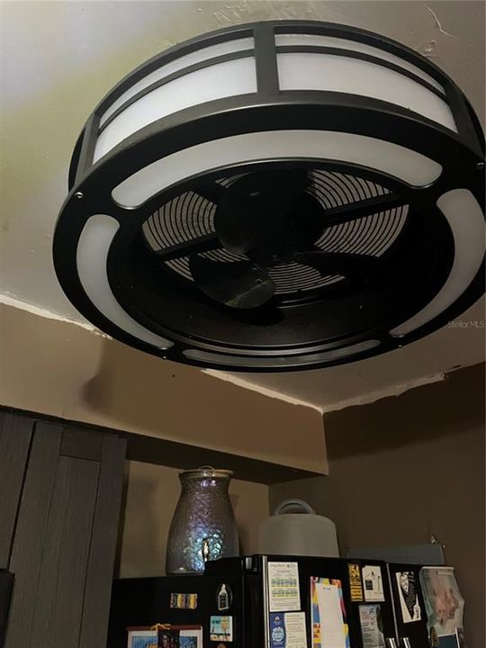 Ceiling Fan/ Light in Kitchen