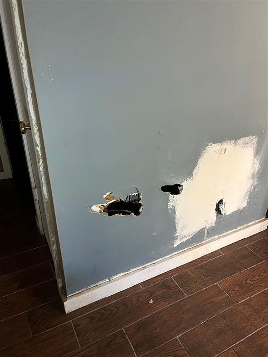 Damage to Wall in Front Room