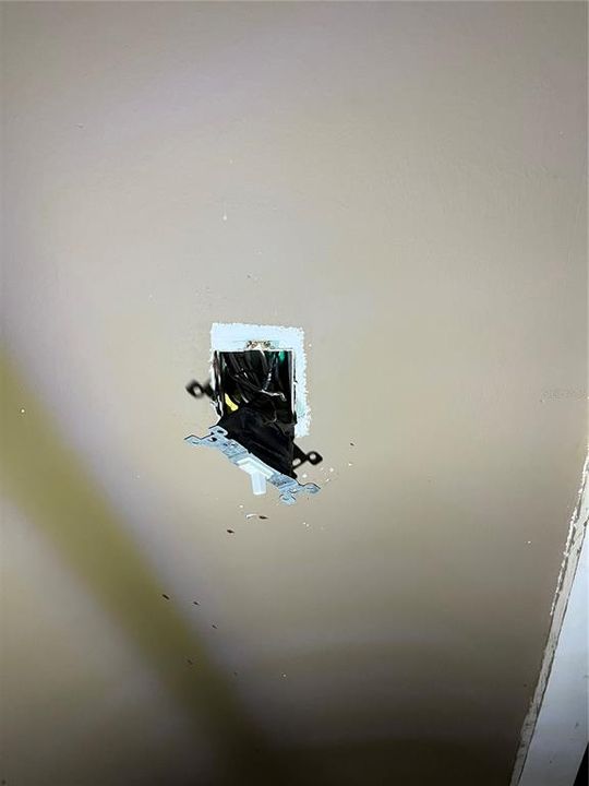 Missing Light Switch Plates throughout