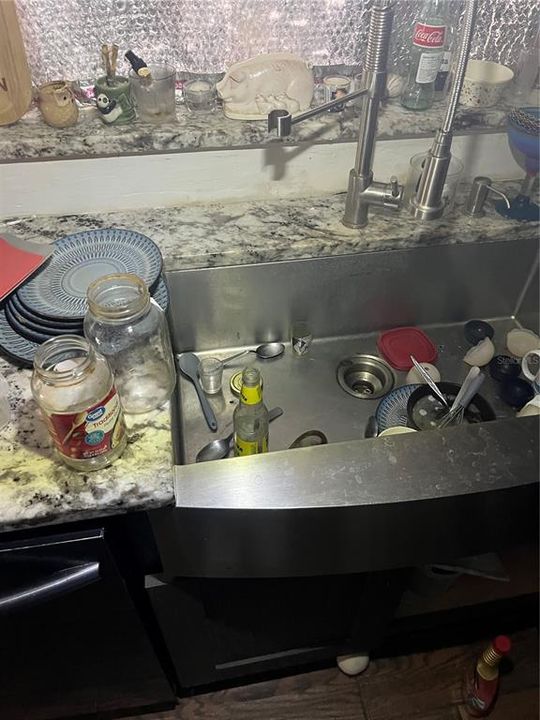 Kitchen Sink, Faucet, and Counters