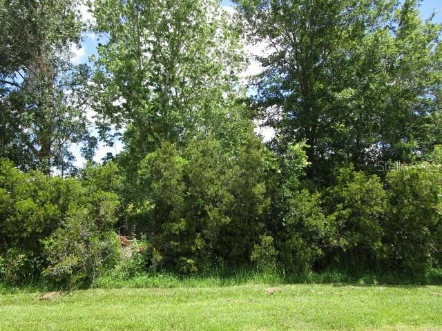 Active With Contract: $30,000 (0.19 acres)