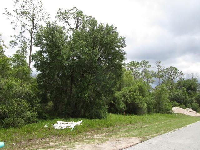 合同活跃: $20,000 (0.16 acres)