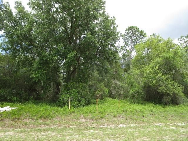 合同活跃: $20,000 (0.16 acres)