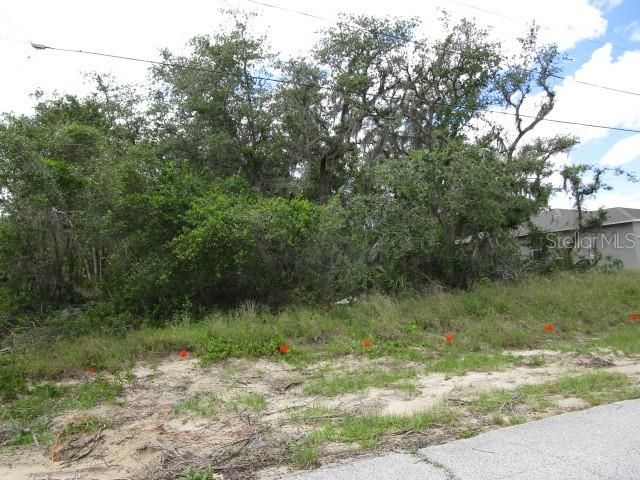 Activo con contrato: $20,000 (0.16 acres)