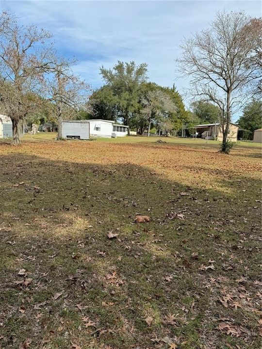 Large lot behind property