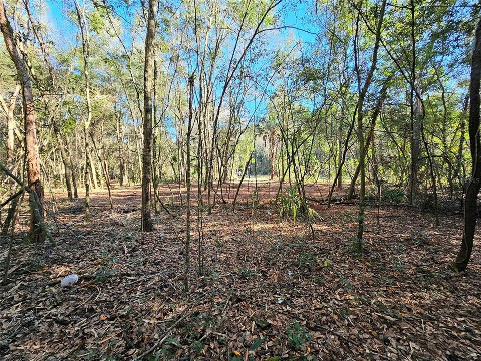 Recently Sold: $6,500 (0.22 acres)