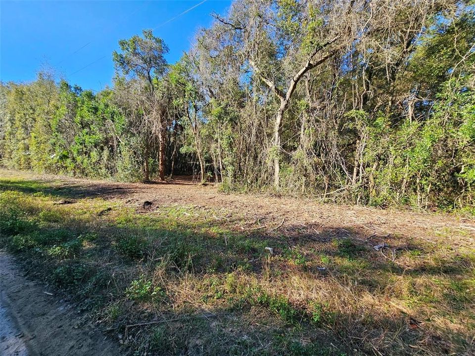 Recently Sold: $6,500 (0.22 acres)