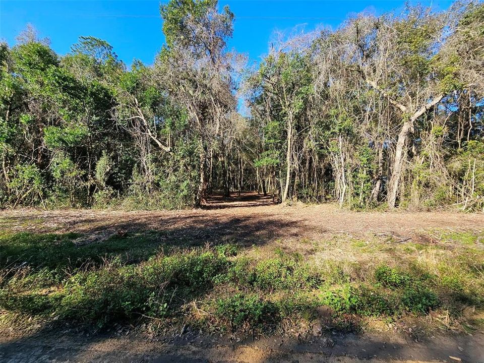 Recently Sold: $6,500 (0.22 acres)