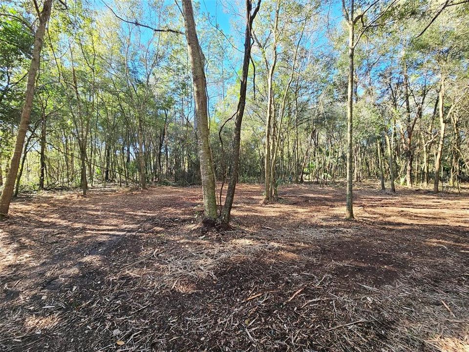 Recently Sold: $6,500 (0.22 acres)