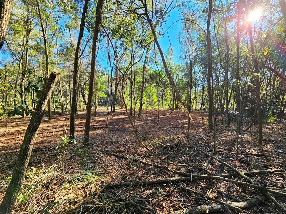 Recently Sold: $6,500 (0.22 acres)