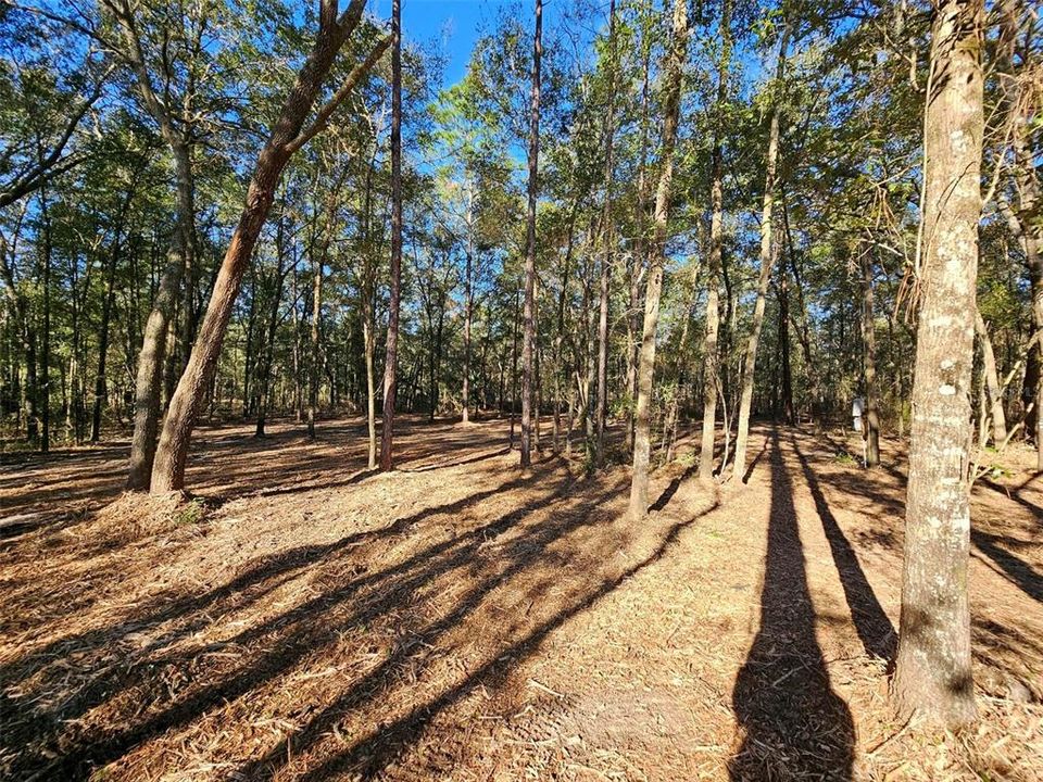 Recently Sold: $7,500 (0.22 acres)