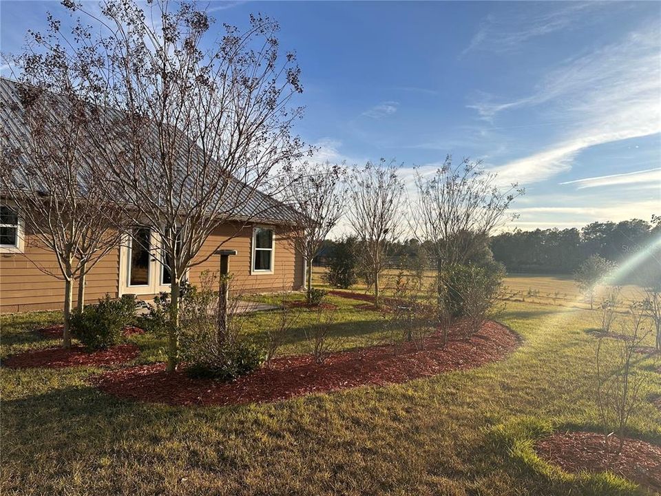 Patio/Garden