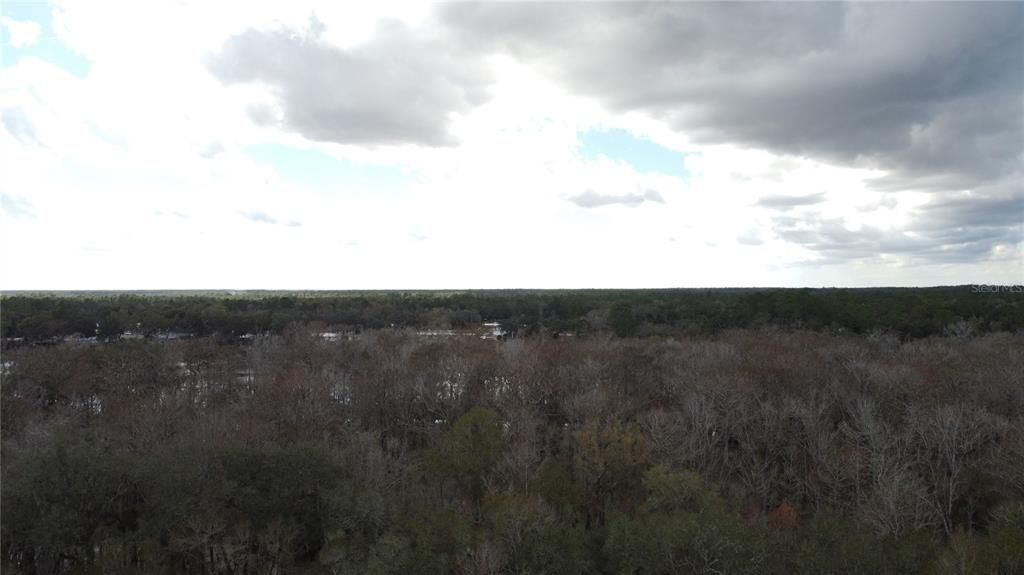 Boat on Suwannee River