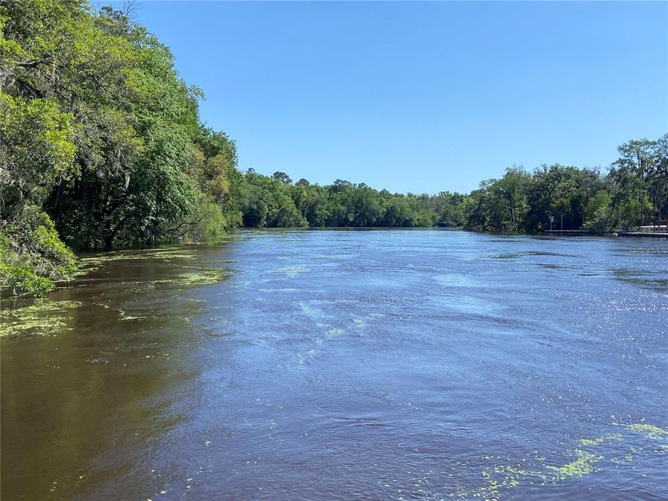 Suwannee River