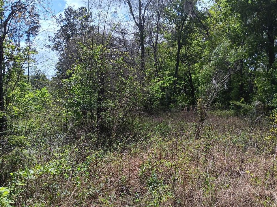 Recently Sold: $121,250 (5.67 acres)