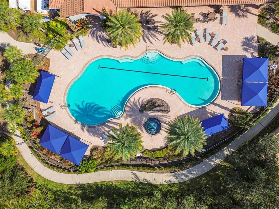 Overhead view of community pool, spa and cabanas.
