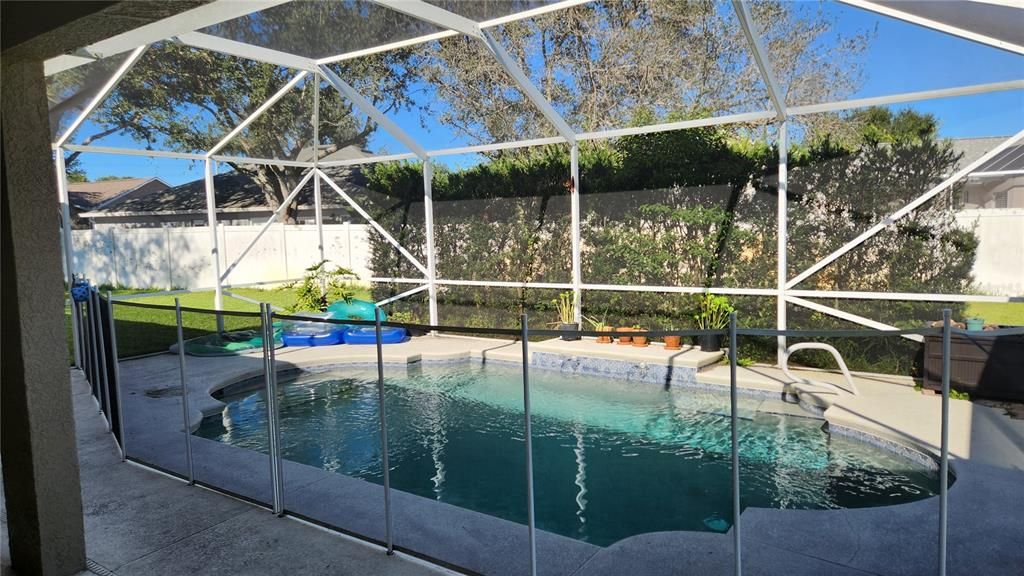 pool view