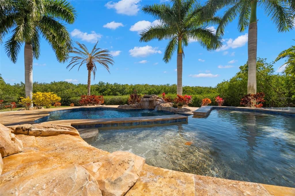 Tropical Pool with Queen Palms